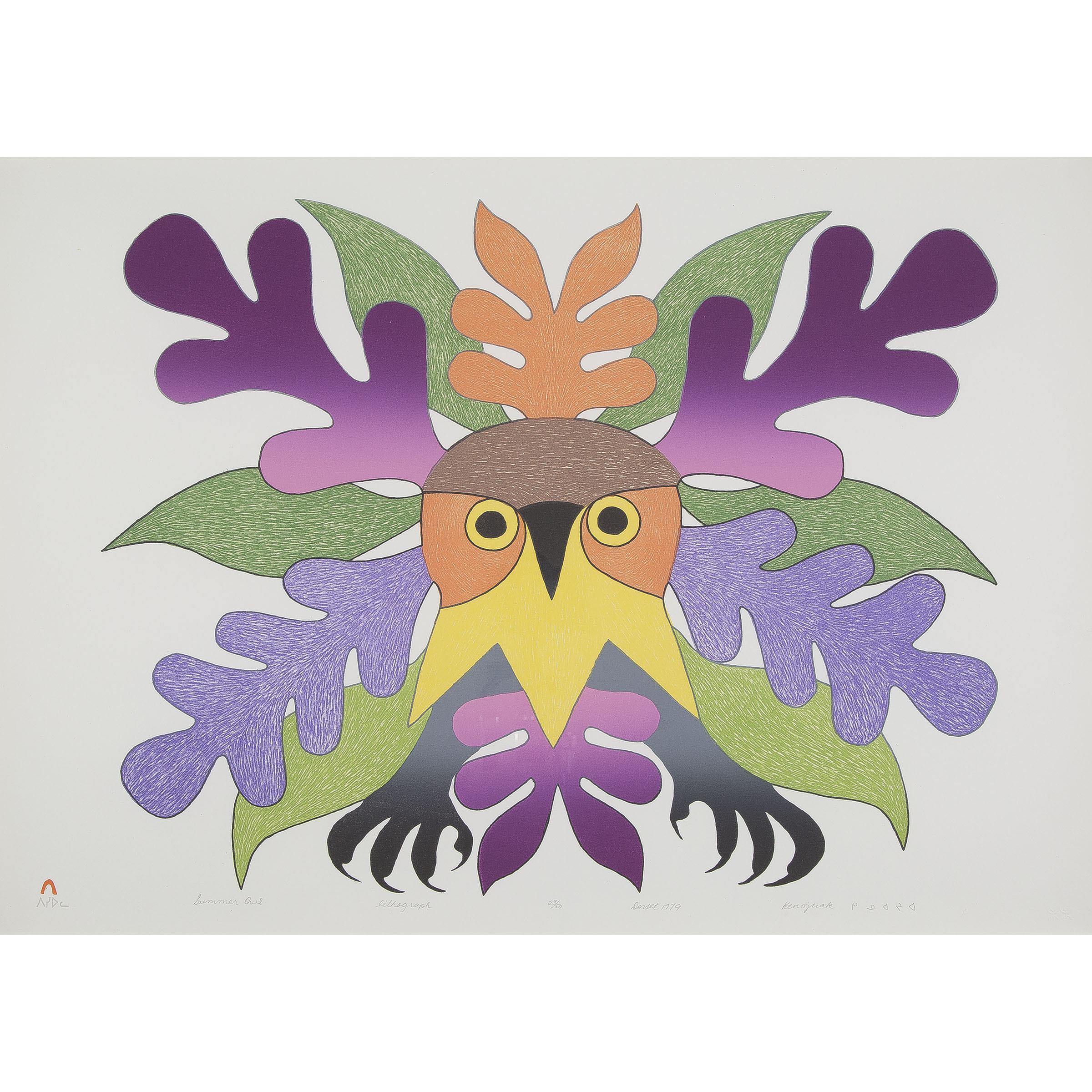 Summer Owl