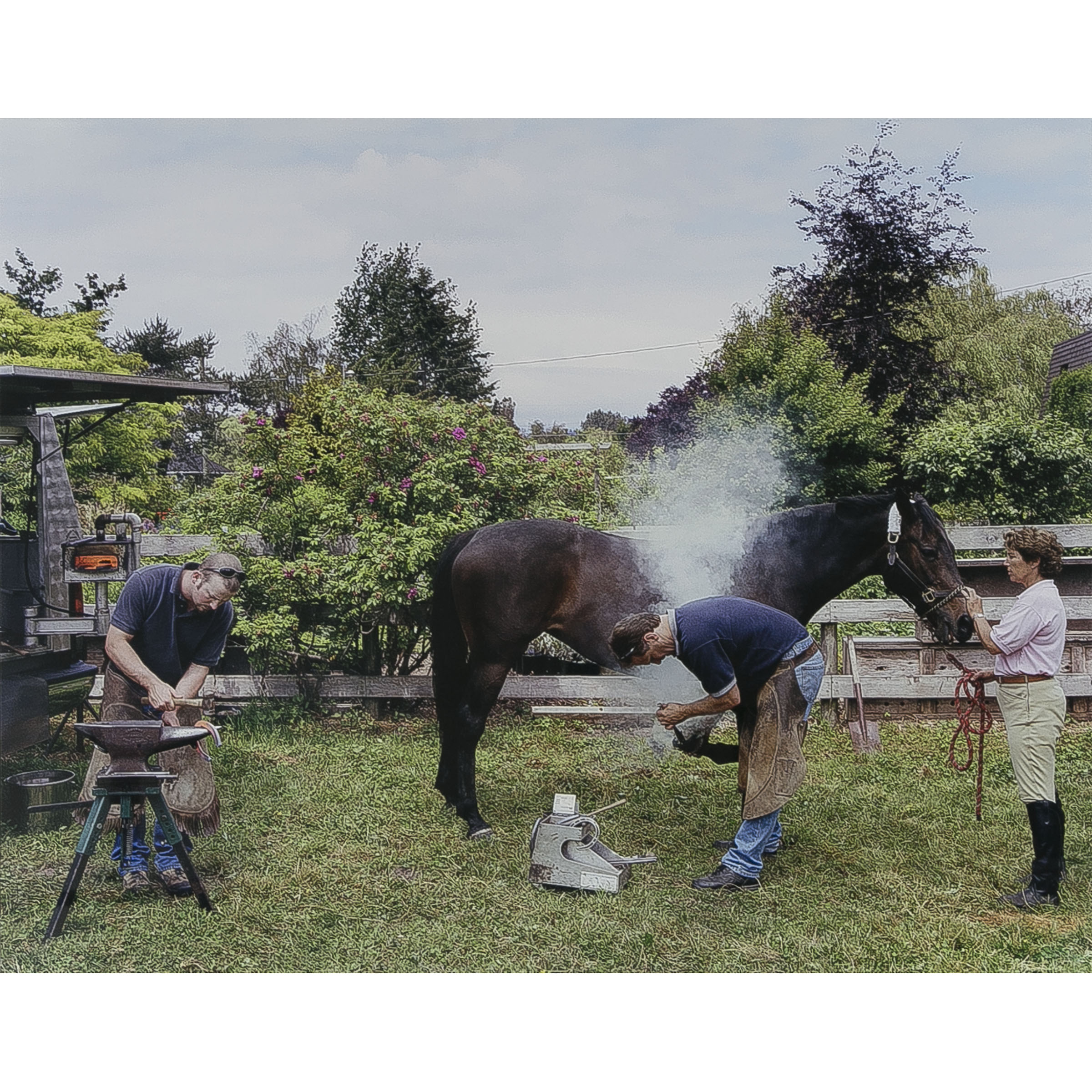 Reshoeing, Farrier James Findel with Assistant in Southlands