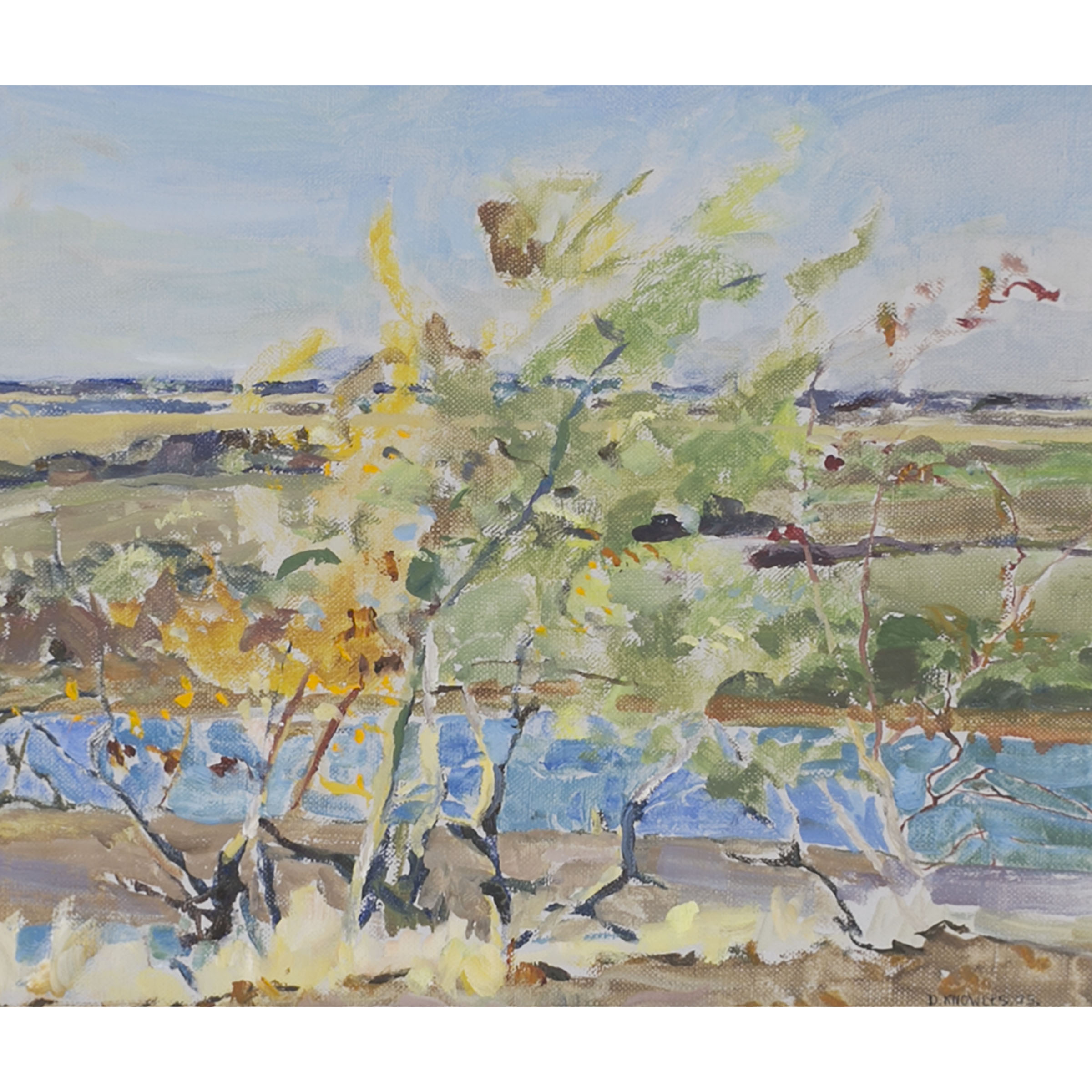 North Saskatchewan River