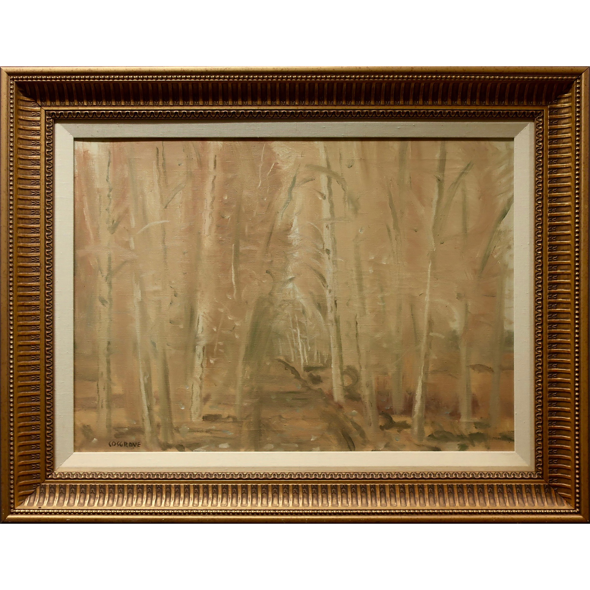 Untitled (Forest Path)