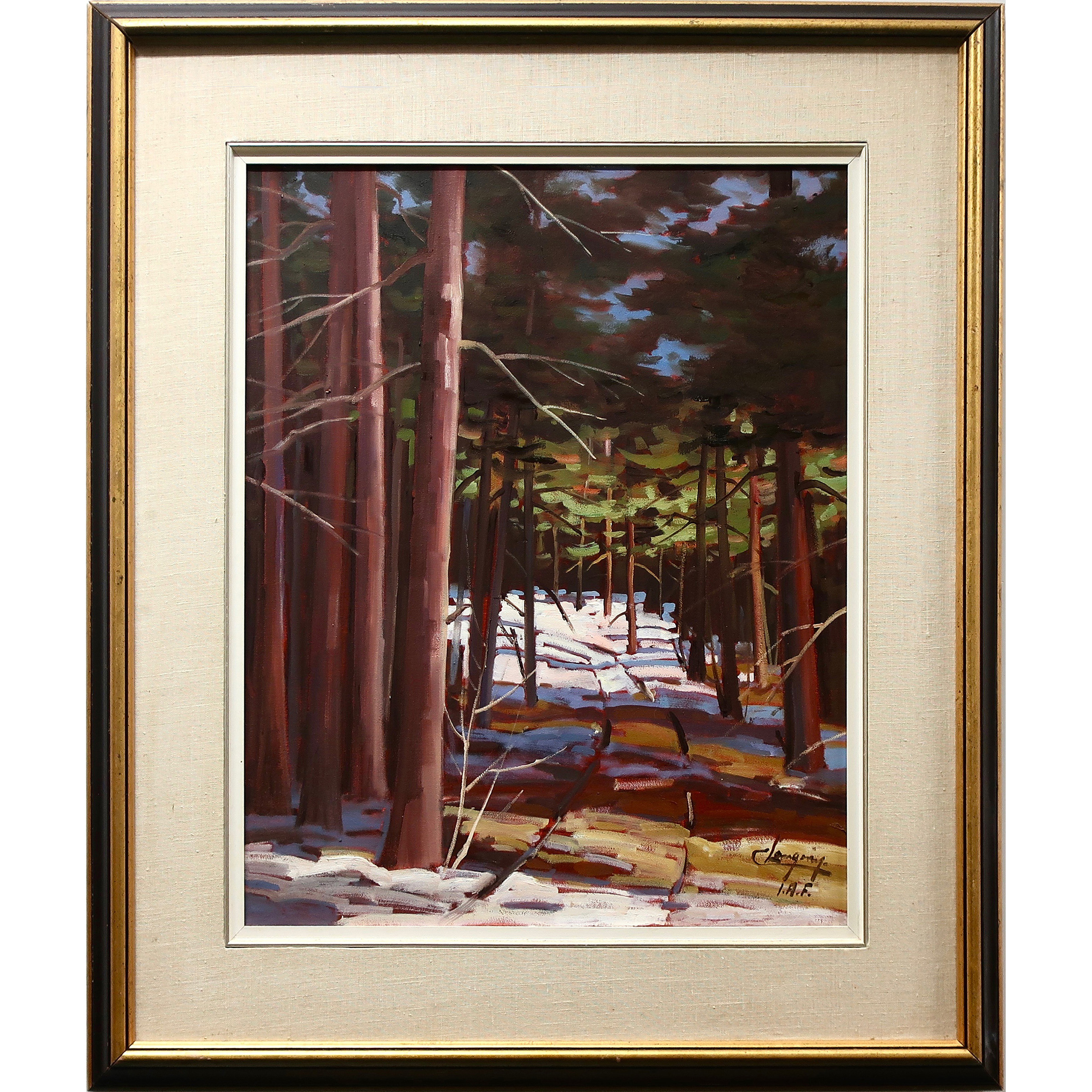 Sous Bois - Laurentides