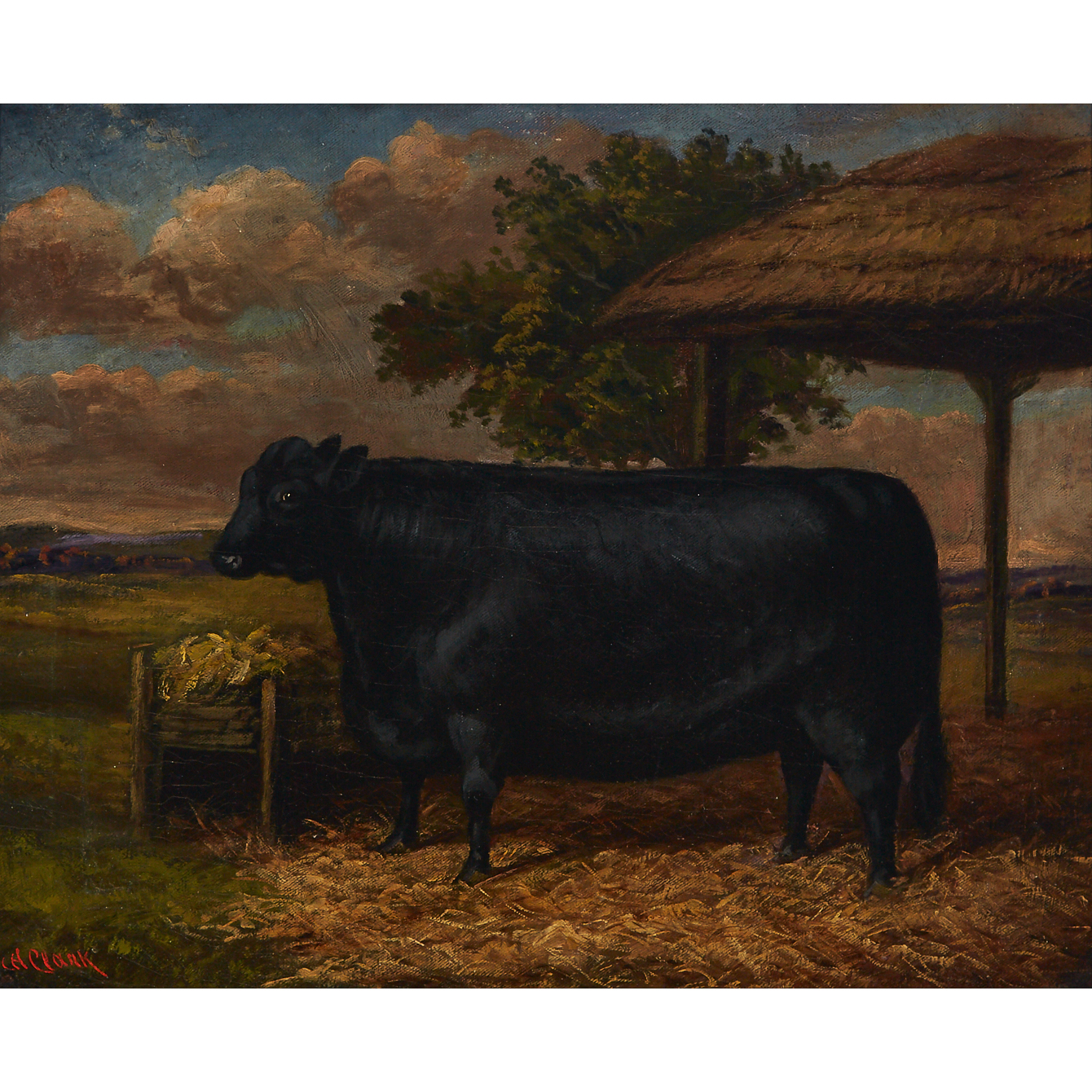 Welsh Black Cow in a Landscape