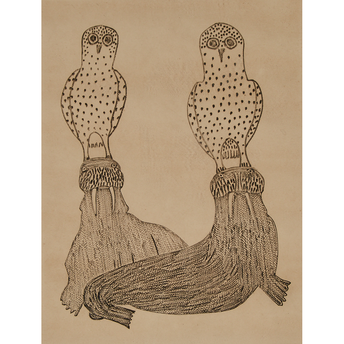 Owl and Walrus