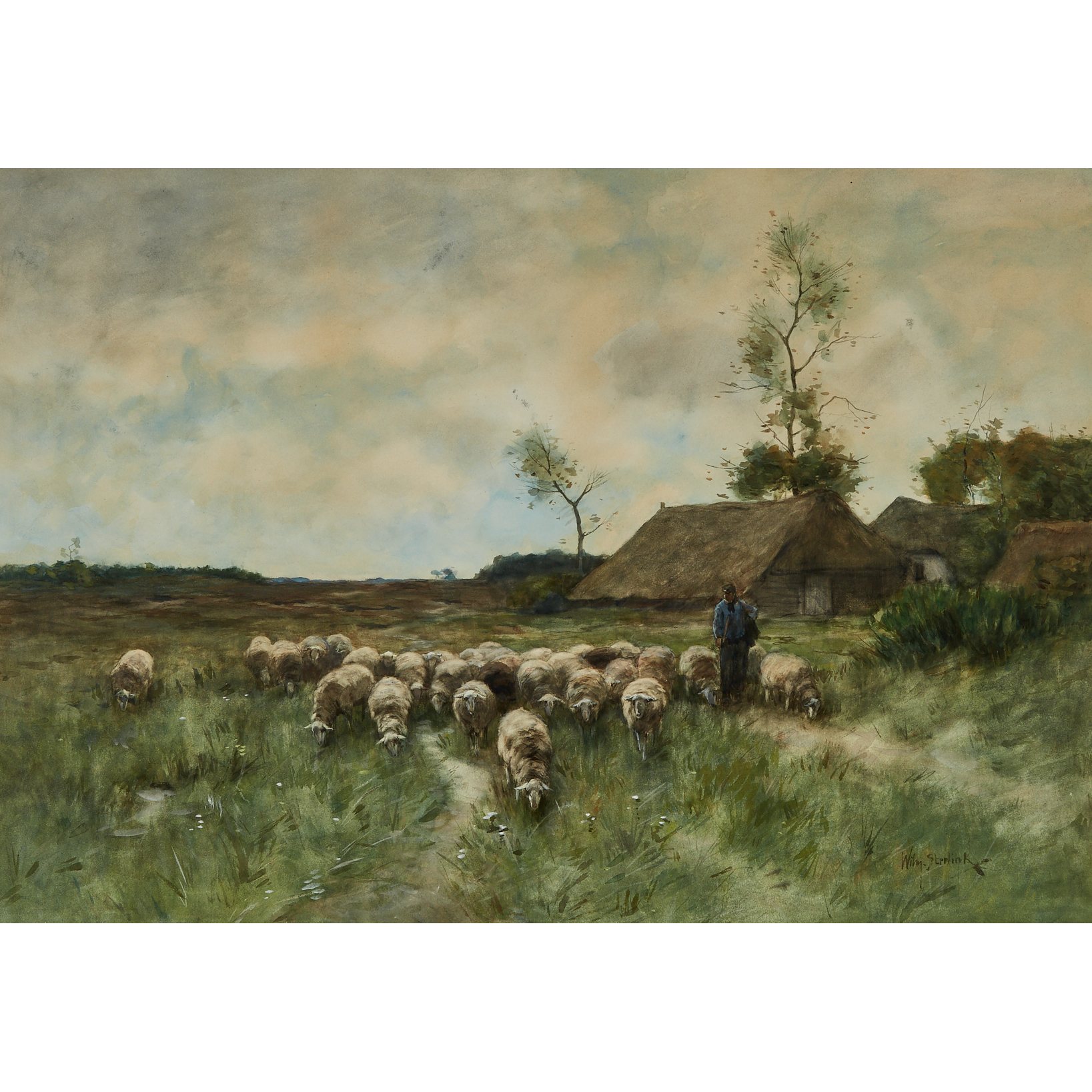 Herding the Sheep