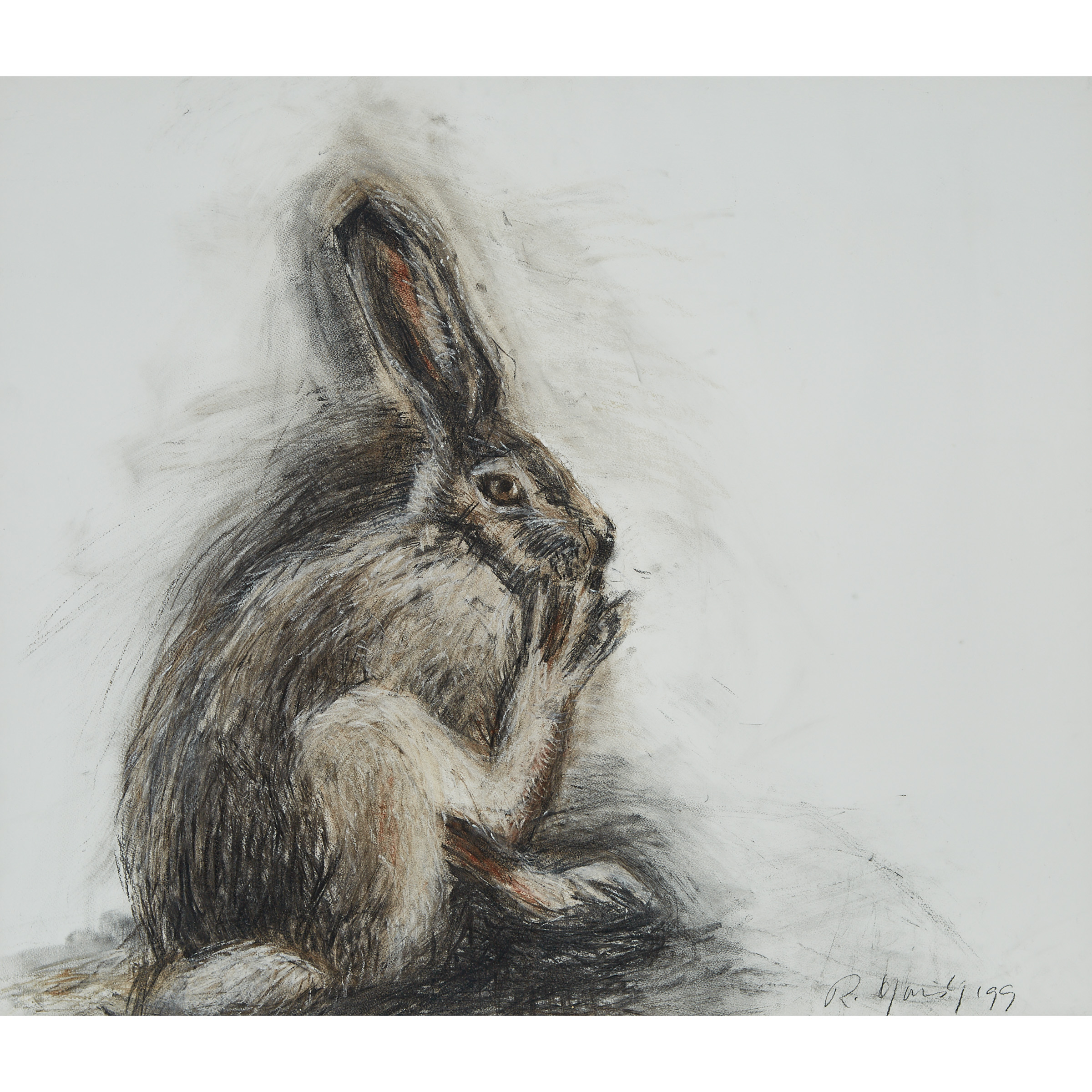 Rabbit Cleaning Foot