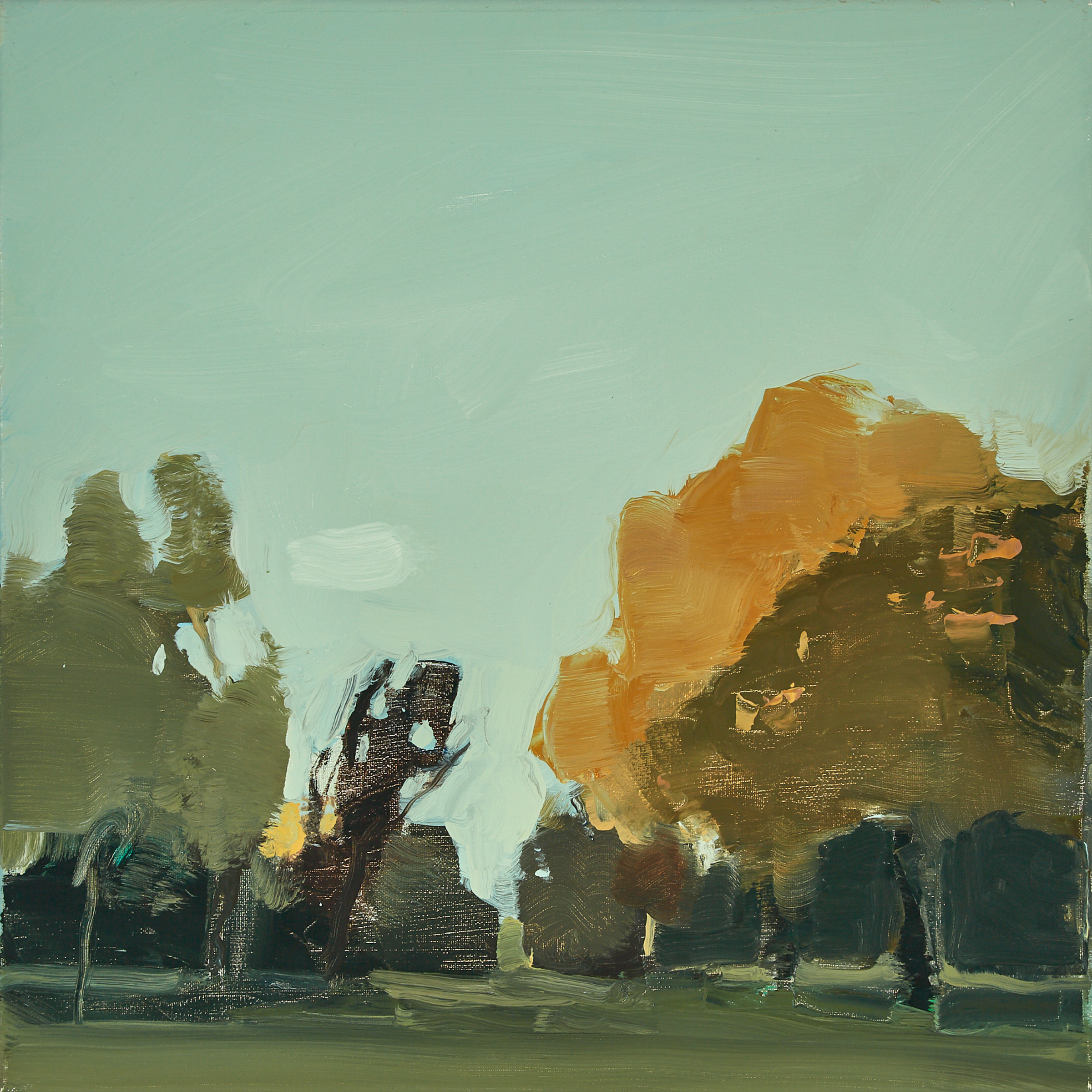 Fall Trees