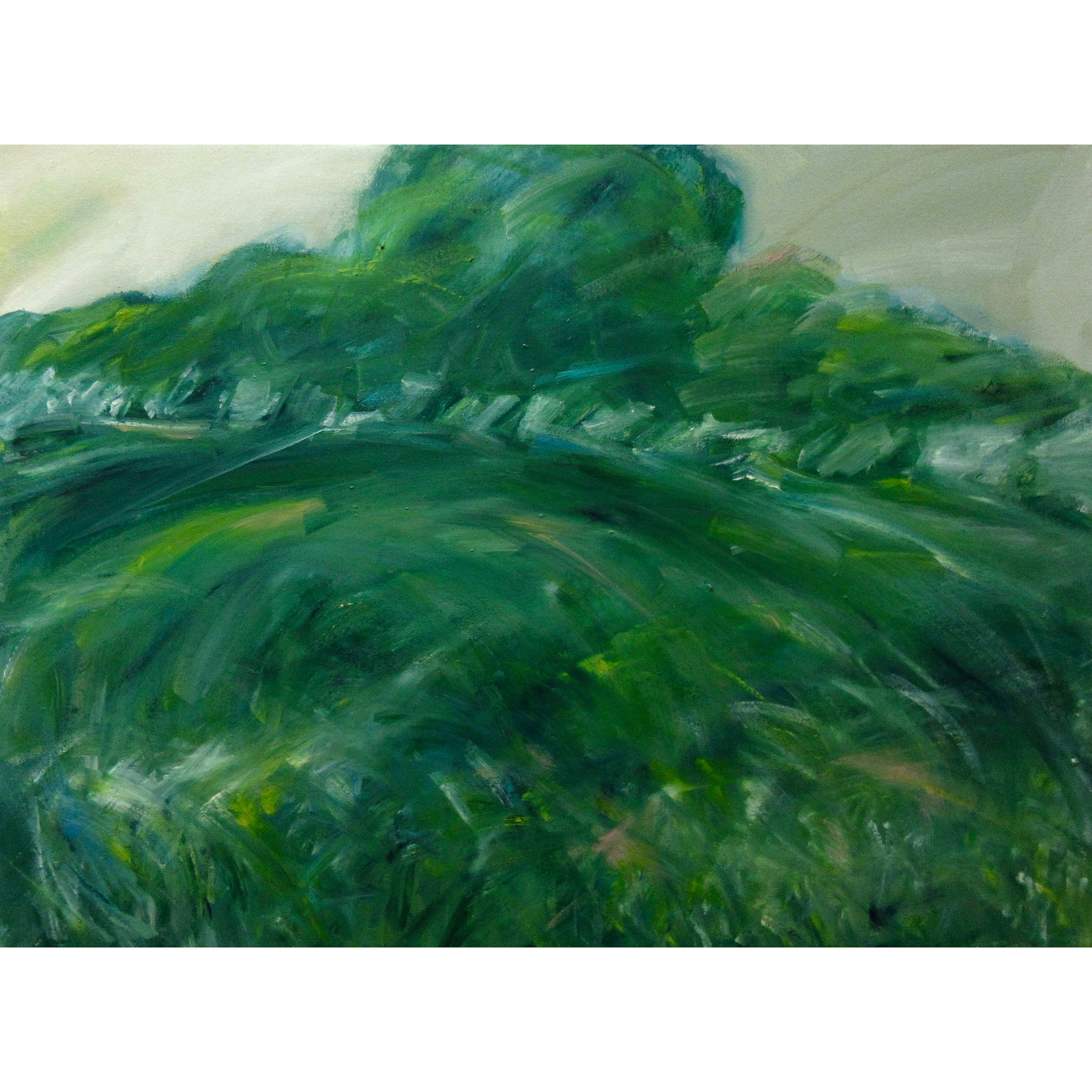LANDSCAPE #1