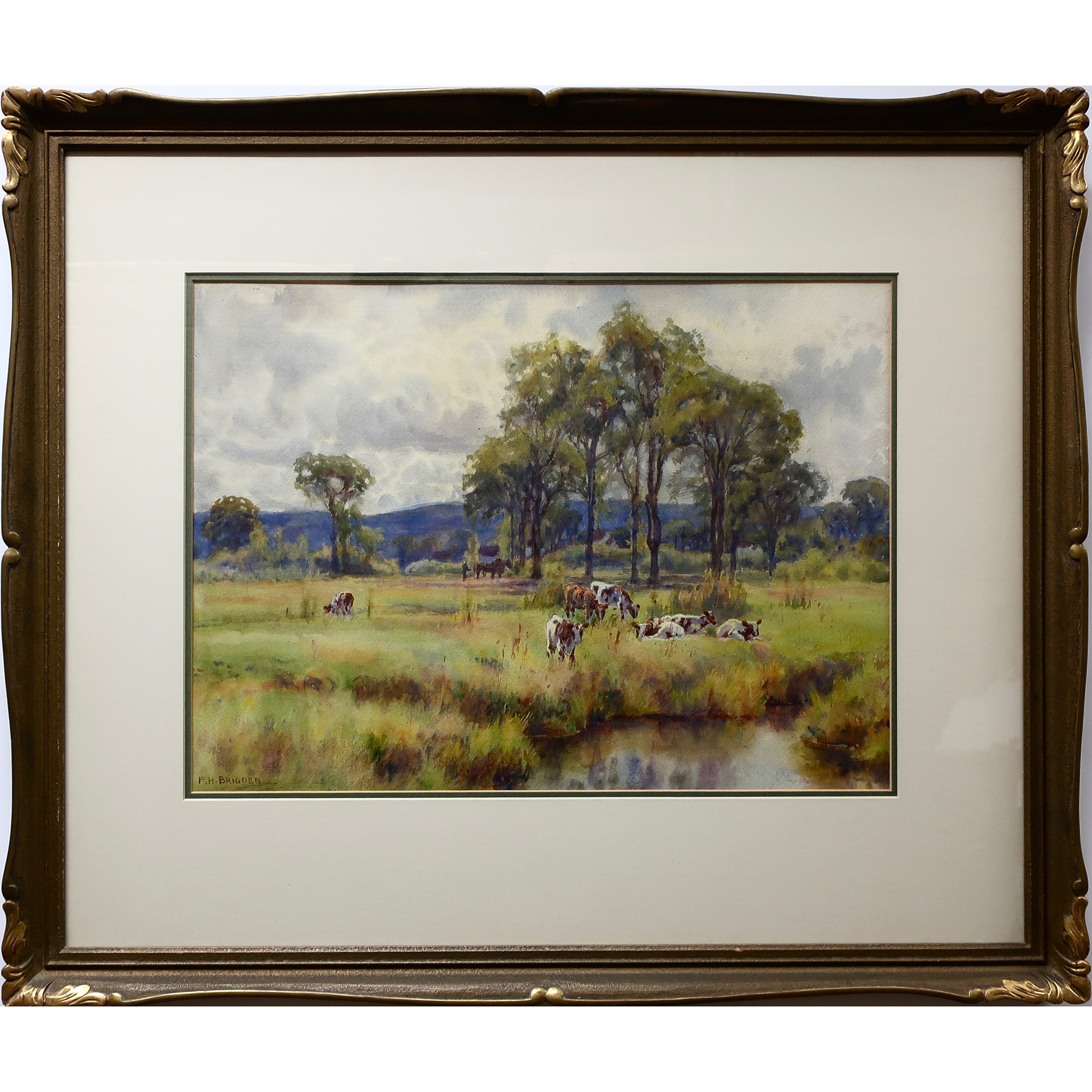Grazing and Resting Cattle by Creek