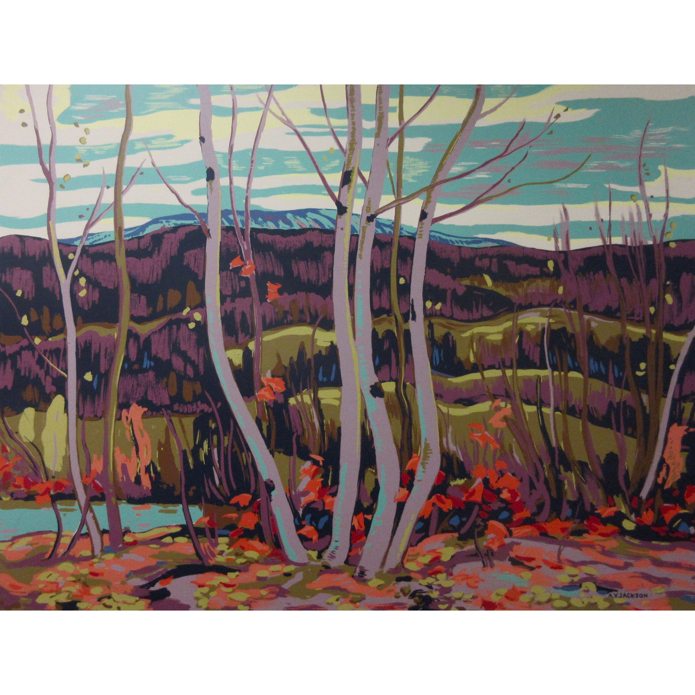 Birch & Maples