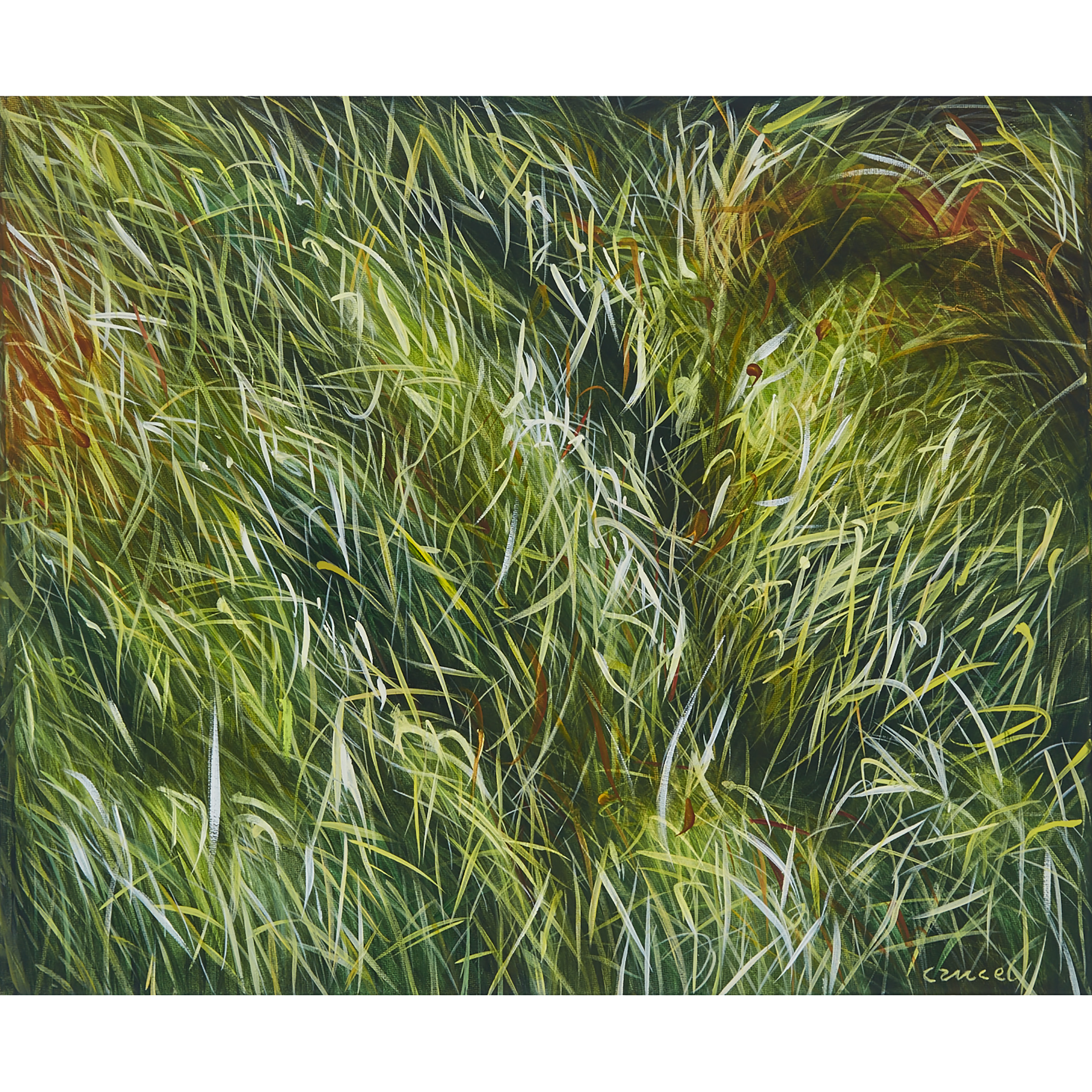 Sans Titre (Herbes)