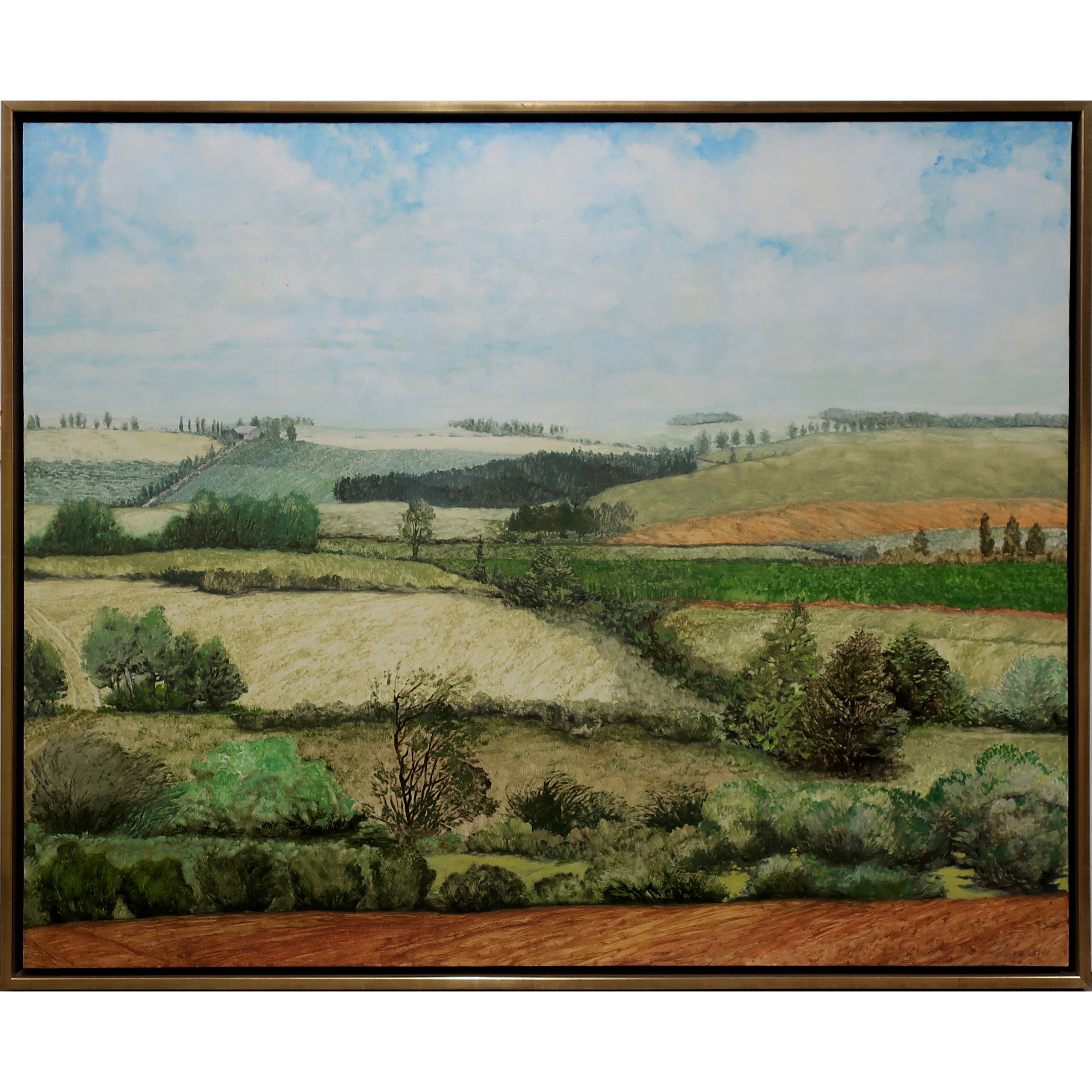 Euphrasian Fields