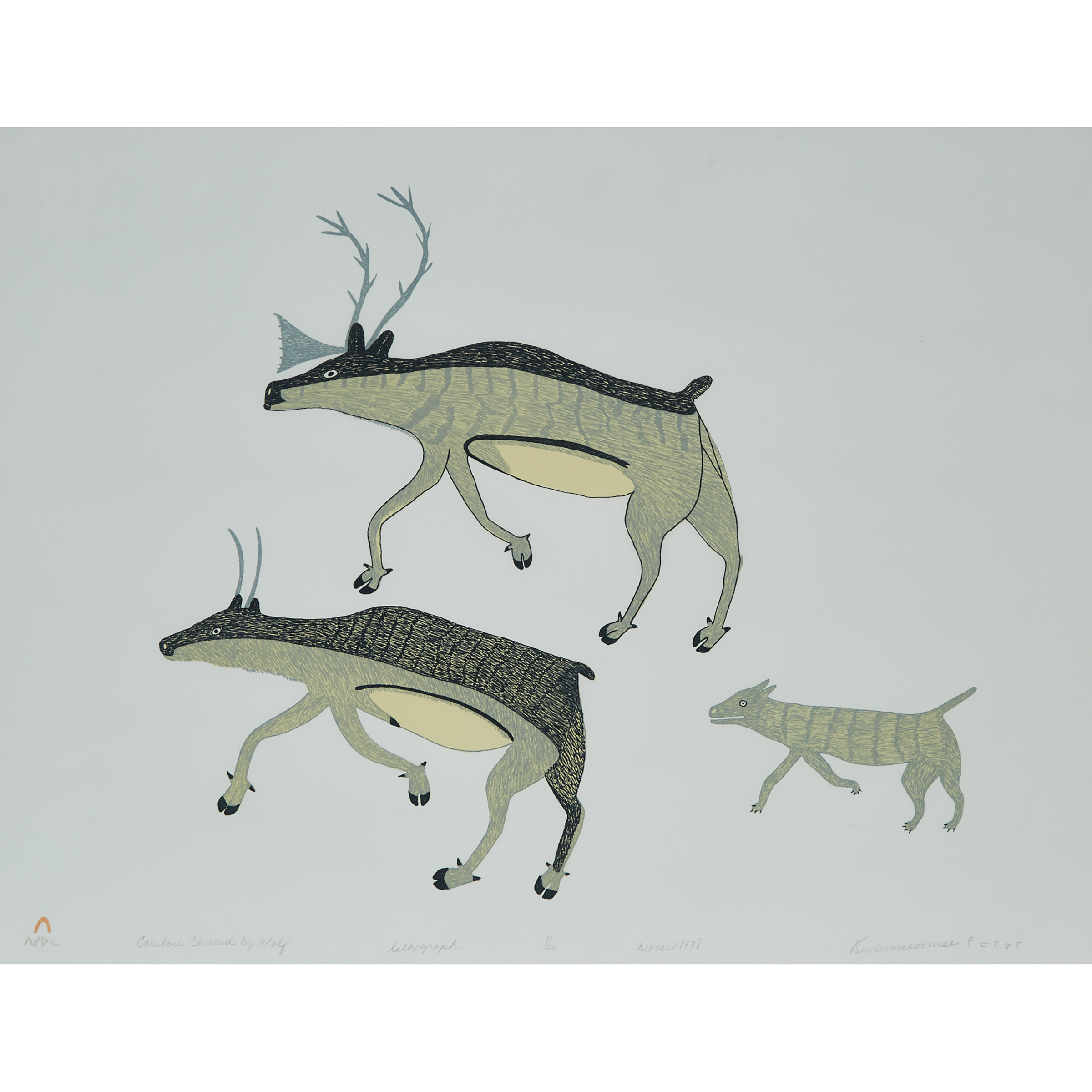 Caribou Chased by Wolf