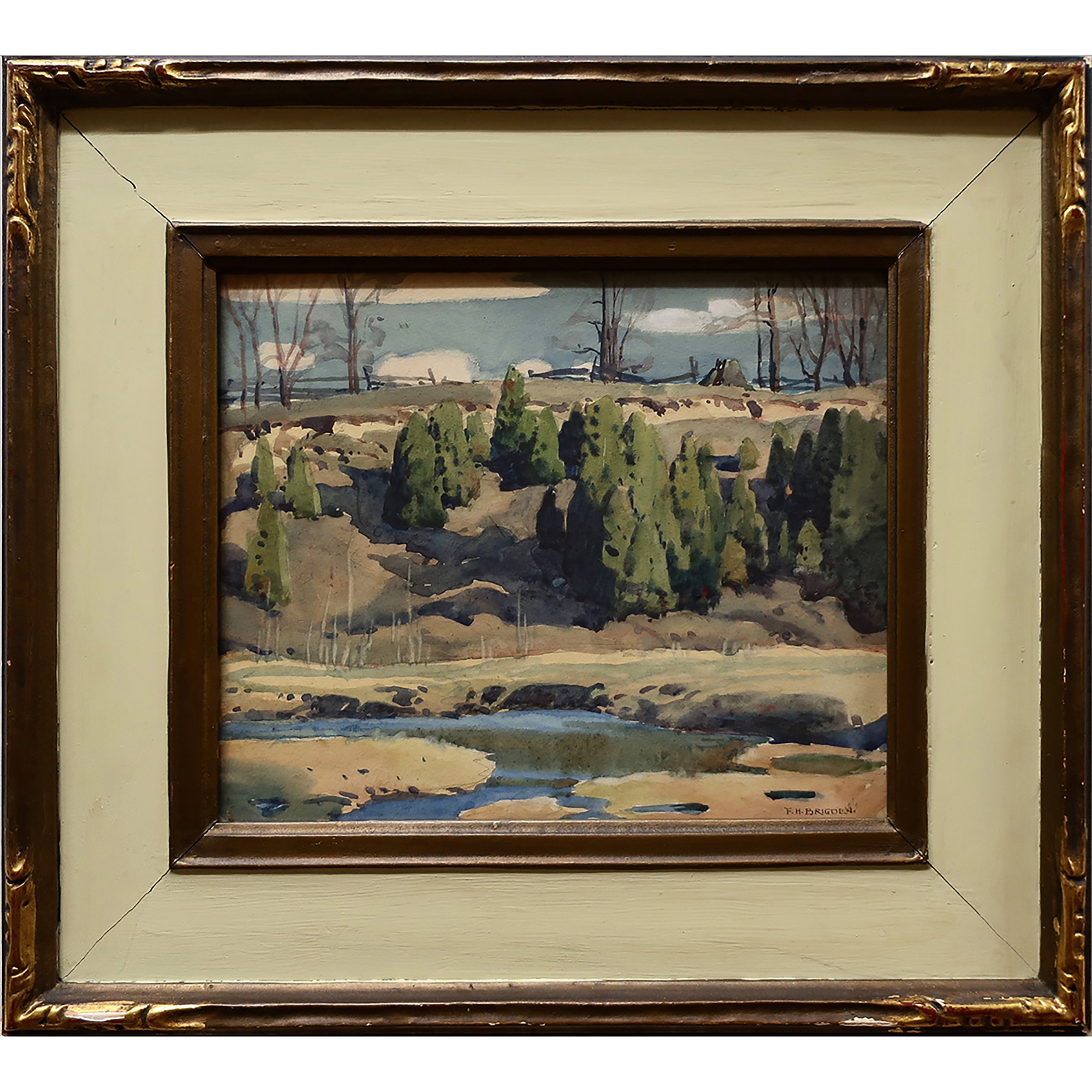 Hillside in Spring