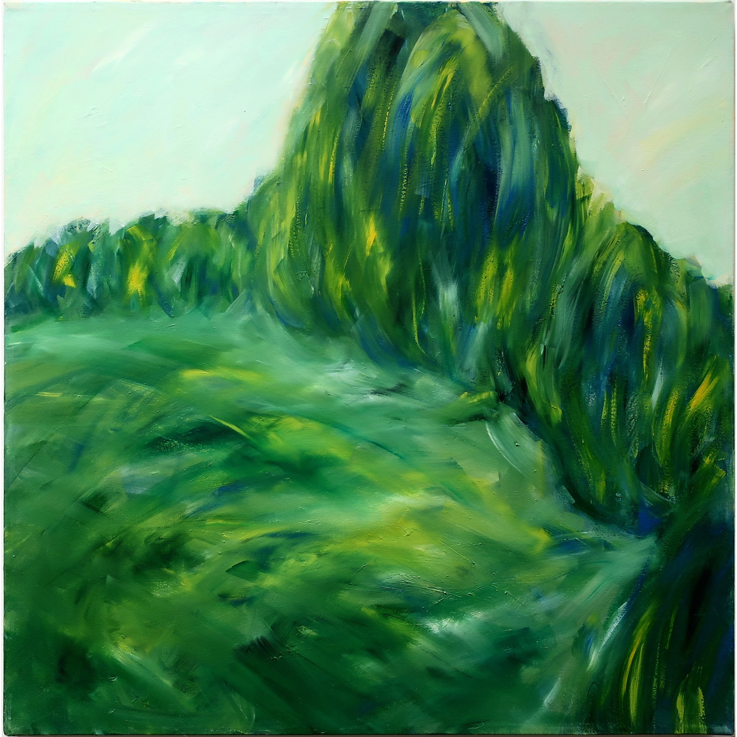 Cedars & Meadow