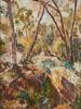 Rocks in the Bush 1955