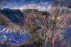 Fading Light, Springbrook to Beechmont 2002