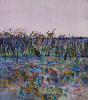 Yan Yean Swamp 1972