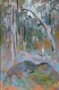 Figure in the Bush II
