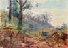 The Clearing c1910