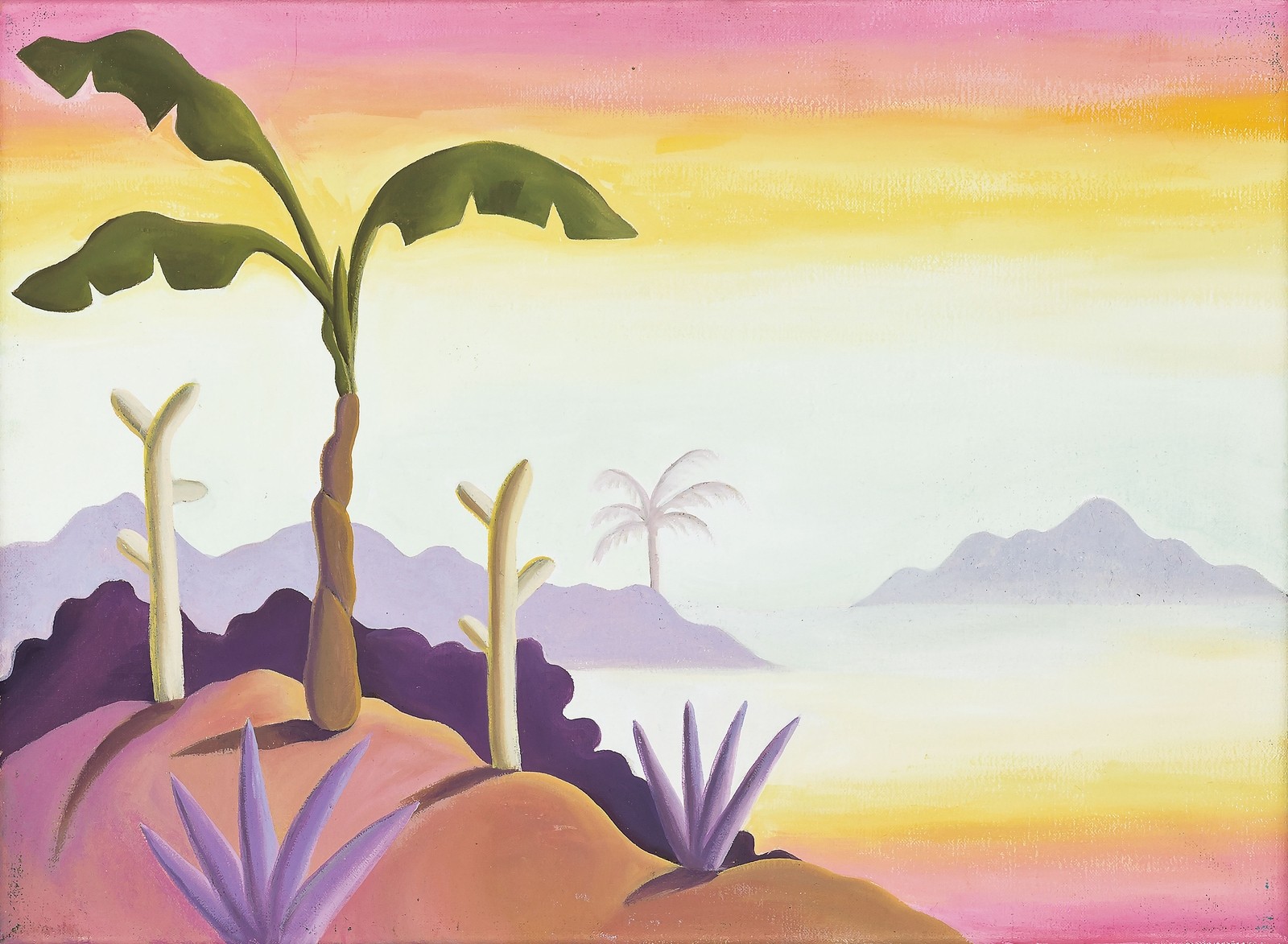 Pink Costa Rica Landscape