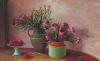 Proteas and Desert Roses 1980
