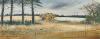 Suffolk Landscape 1973