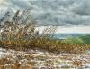 On the Snowline