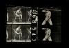 - "L'assassino nudo" (Muybridge), 1984