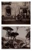 - Napoli ; Capri da Massa, 1870s/1890