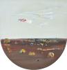 Carp Kite over You Yangs 1970