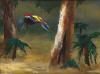 Crimson Rosella c1974