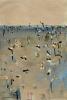 You Yangs Landscape (Second Series) 1966