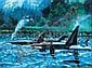 Bruce Untitled - Orca Whale Family acrylic