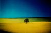 - Paesaggio, 1987