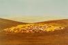 - Untiled (Landscape), 1970s
