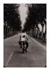 - Provence, 1955