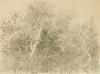Gabor Peterdi, etching