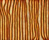 Eileen Napaltjarri, Tjiturrulpa, 2006