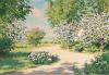 Summer landscape