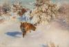 Winter landscape with fox