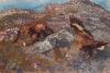 Golden eagles attacking a hare