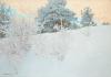 Winter landscape