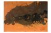 Les rives assassinées, "Gel", 1975 Acrylique, bombe aérosol et pastel sur papier, signée en bas à droite et titrée au centre