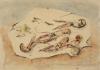 Filippo De Pisis (Ferrara 1896 - Milano 1956) - Natura morta con scampi, 1931, Filippo De Pisis (Ferrara 1896 - Milano 1956) - Natura morta con scampi, 1931