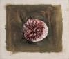 Giorgio Morandi (Bologna 1890 - 1964) - Fiori, 1956, Giorgio Morandi (Bologna 1890 - 1964) - Fiori, 1956