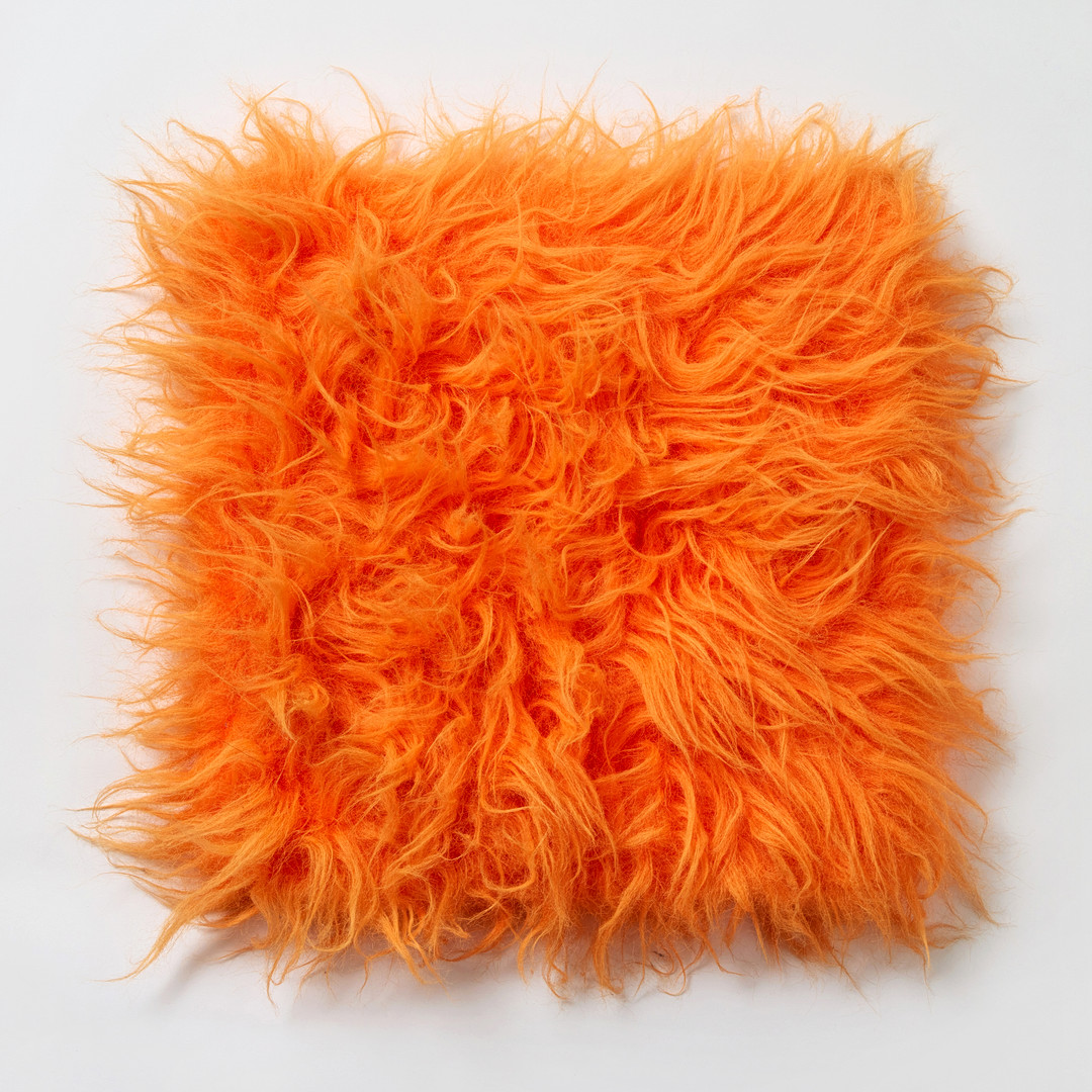 "Cuddly painting".