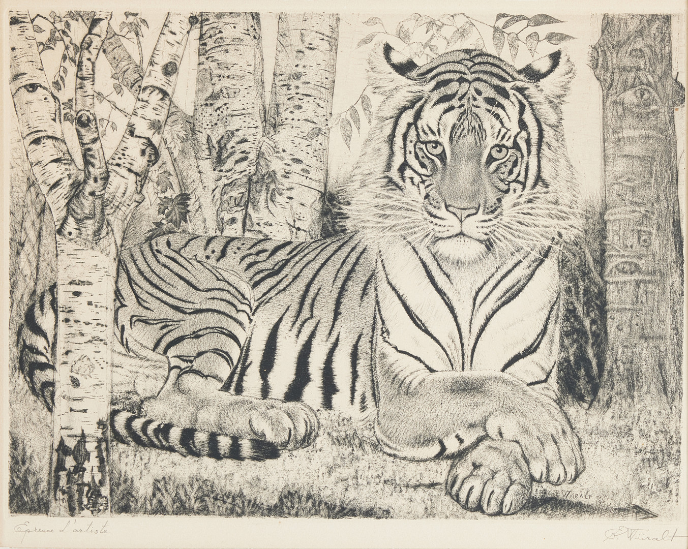 Wiiralt Eduard, "Lamav tiiger (Reclining tiger)".