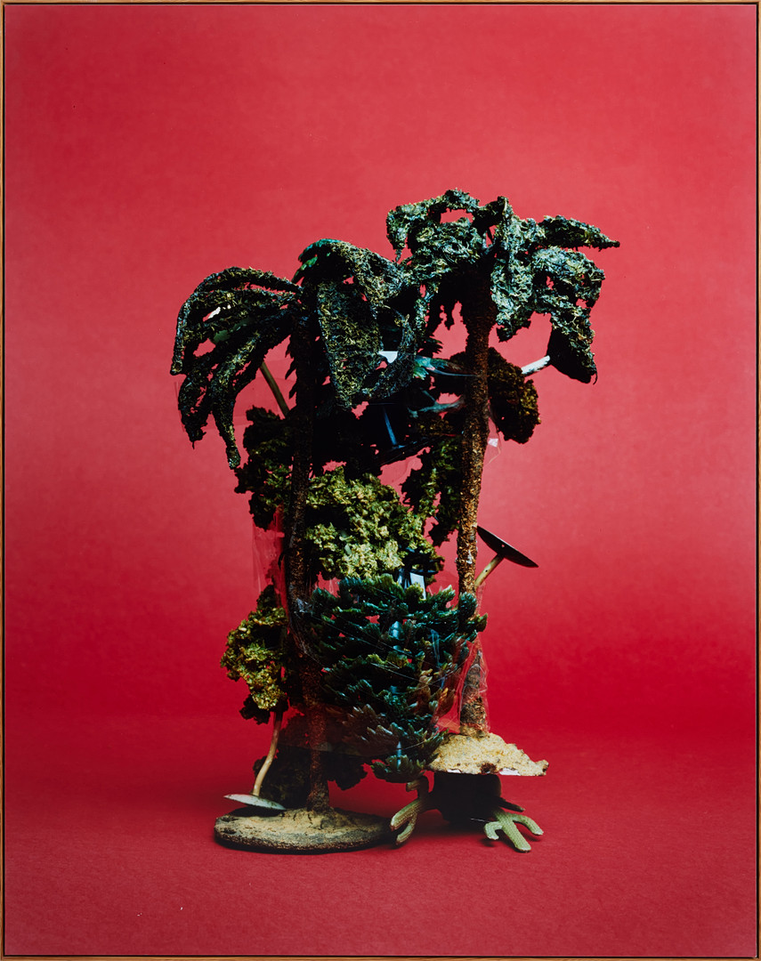 "Palm Trees and Tape".