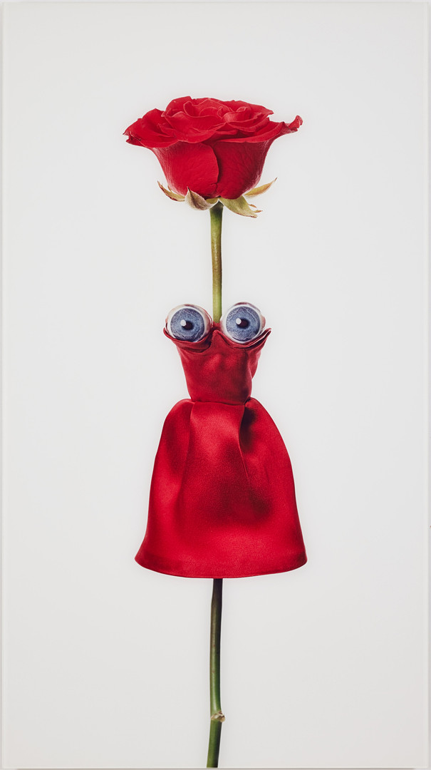 "Karin / Miss France".