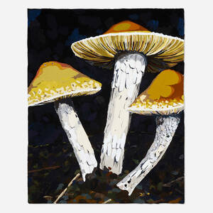 Mushroom Patch